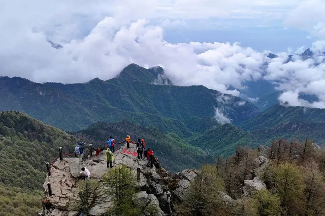 1772243600606464.png 4.png