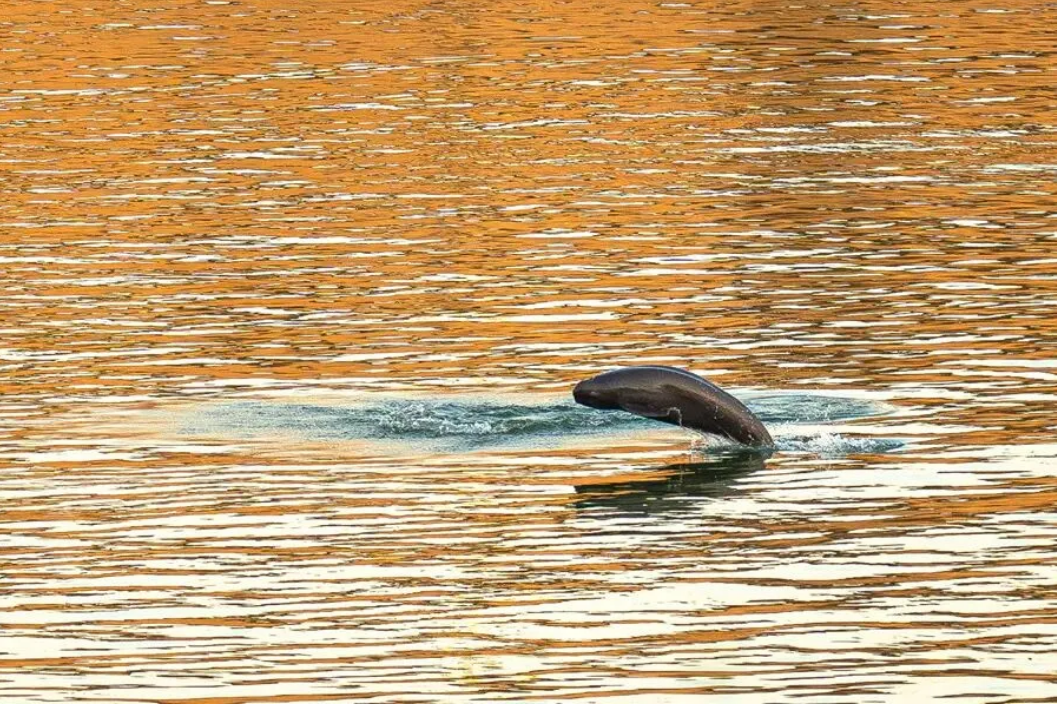 1772243627385593.png 6.png